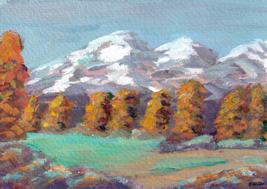 Mountain Meadow