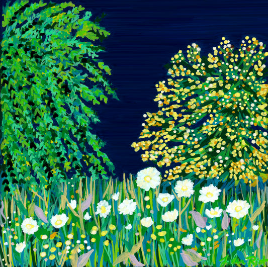 Daisies at Dusk